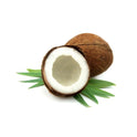 Coconut Kalash 5 pcs (Pack) (Approx 1600 g - 2000 g)